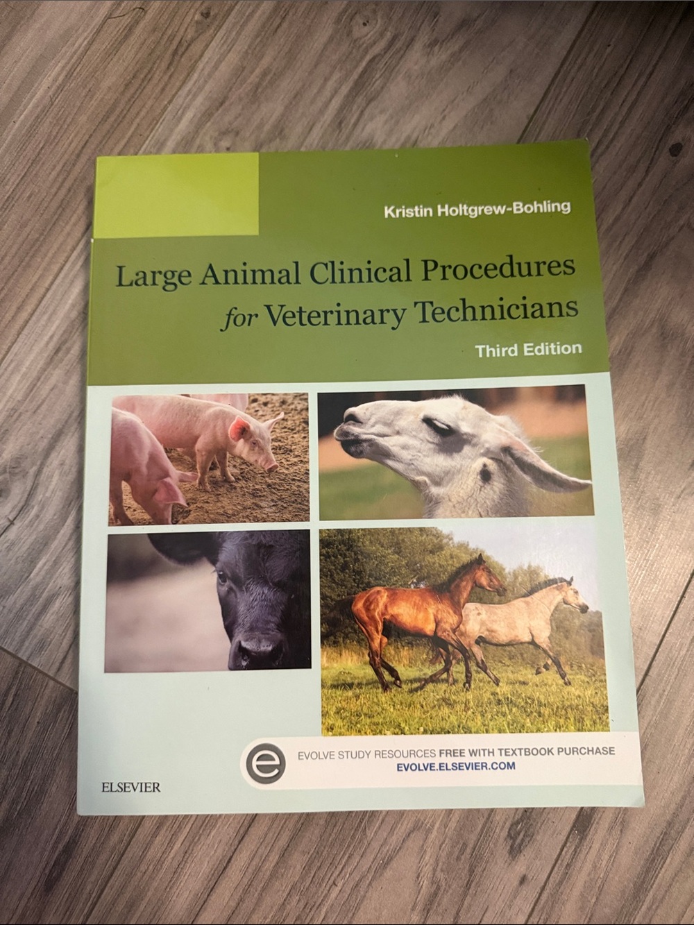Elsevier Large Animal Clinical Procedures for Veterinary Technicians - Green